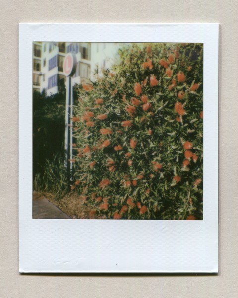 Polaroid Go