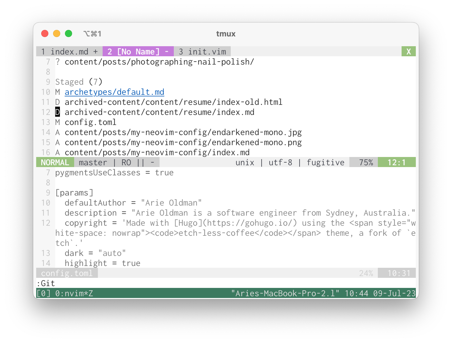 screenshot of Neovim with a fugitive window open at the top