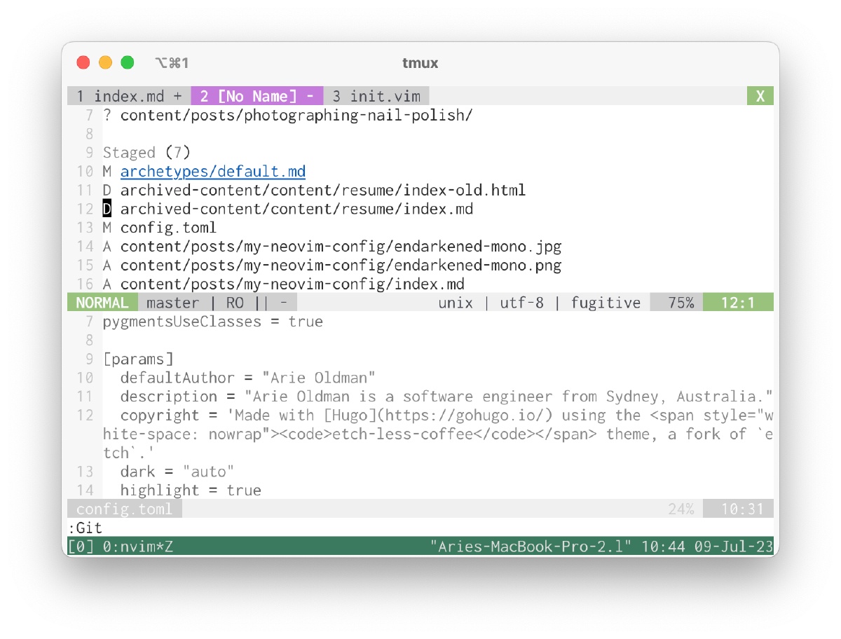 screenshot of Neovim with a fugitive window open at the top
