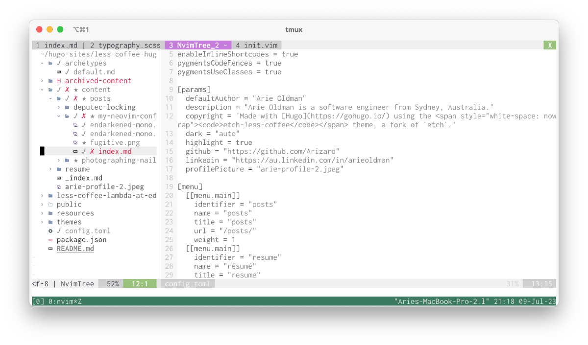 screenshot of neovim with nvimtree open on the left hand side