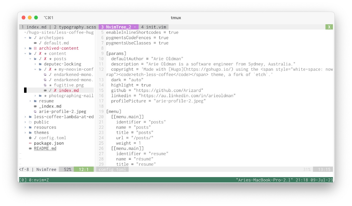 screenshot of neovim with nvimtree open on the left hand side